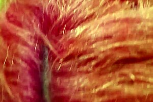 Whoa, these chupadas are totally delicious for 2024!