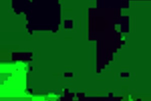 The mature Venezuelan woman couldn't find work and had to return to her country.