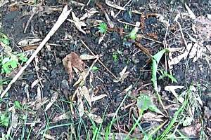 Watch this milf piss standing behind garages in open air! Her dirty pussy loves urinating in public places for amateur fetish!