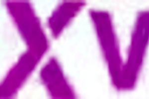 Intense Caresses Deep Kisses And A Raw Encounter That Reveals Everything For Those Craving Bolder Hotter Real Scenes