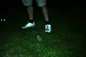 hey busty milf paige palin, can you please this crowd of doggers with your mouth and big tits?