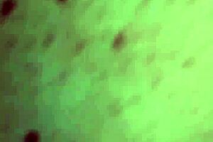 Whoa, couple's wild session with her sucking cock and humping till he cums on milf body 😈 full movie on sub page!