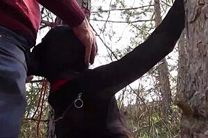 preview of outdoor milf scenes with blowjob bondage and creampie action 😈🔥