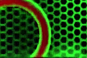 Exotic Italian Scandinavian hottie Della Dane sucks Rome Major's cock before deep interracial banging. She squirts from big clit stimulation in group orgy fun!