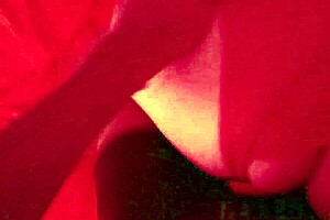 Oh man, this pov fucking my big-ass stepmother real sex in my room... watch it until the end as she moans with pleasure