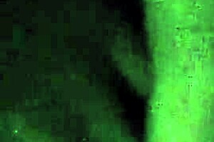 Tina slips into stockings for playful foot teasing and fetish fun in the bedroom