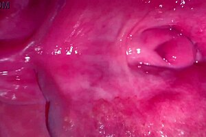 Why resist first sex with virgin on Halloween night, her wet shaved pussy craves creampie?