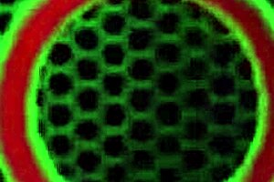 Blonde MILF Julia Ann LICKS Big Natural Tits and CLIT in Sensual Lesbian Encounter!