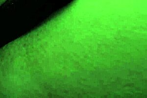 eva long craves young cock and stepson steps in to satisfy