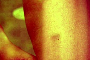 Outdoor Milf Enjoys Anal Penetration and Oral Pleasure