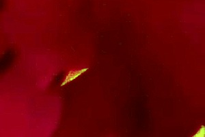 Oh man, I-I'm this hot slut Monika Fox doin' POV naughty homemade anal with sloppy blowjob, rimming, squirt, prolapse, and cum in mouth free.