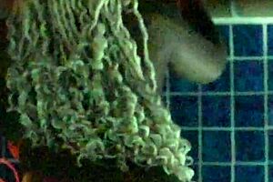 best couple sex with ebony milf big ass riding wet pussy on monster cock in homemade quickie 🔥