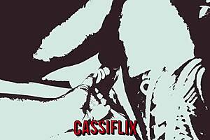 white girl cassiflix takes hard bbc pussy cu pounding interracial orgy