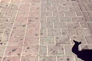 i cant resist my venezuelan aunts massive ass