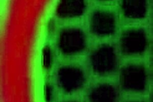 some stallion got lucky.. he fucked mature maid sara jay with big tits and ass in doggystyle