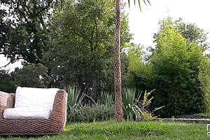 wow, isn't she just pretty under those palms?!