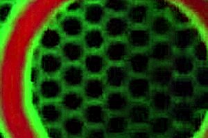 flight attendants sunny lane and eva angelina get rough 3some doggystyle with eric swiss big tits bouncing