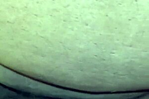 Stroking my pregnant wife's fat coochie until she creams everywhere