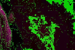 wanna see artemisia love flash her juicy tits in that tiny bikini?