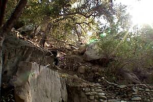 mellanie monroe caught stroking monster cock again 💦 blue eyed blonde begs for facial 😈