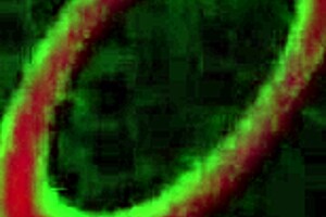 Sara Jay Juicy Lesbian Milf Pussy Lick Dildo Orgasm