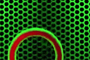 charlee chase shoves that dildo deep in her wet milf pussy all day