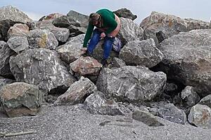 wanna see fat milf piss outdoors flash hairy pussy no panties?