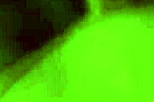 lesbian redhead beauty spreads wide for eager brunette fingers