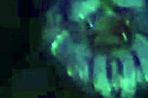 Carmen Hayes strips and bounces boobs at the night club