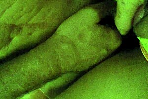 hot latina milf strokes my monster cock sensually in hotel lingerie