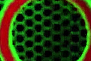 Bbc Charlie Mac Drills Pawg Sara Jay Cougar Pussy