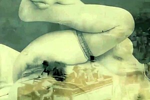 my secret life world's greatest erotic vintage silent film adventure