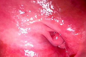 Japanese wife licks shaved pussy 336 days post virginity loss