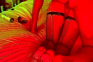 homemade mature couple fucks doggystyle then anal in fishnets