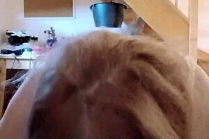 Maîtresse F Facesits Slave Ebed in Humiliating Bondage Session