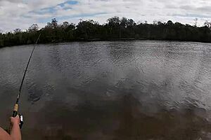 Busty Diamond Fucked Hard After Fishing In Public!