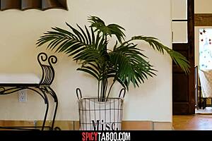 shameless neighbor lauren phillips has me aching with desire