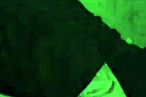 Sexy milf Autumn Sunshine sucks cock deep then rides it wild!