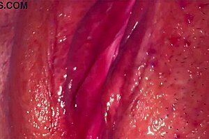 japanese wife licks shaved pussy 353 days post virginity loss