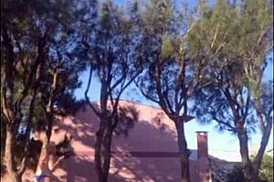 madrasta, showing off that bikini body in the garden for you?