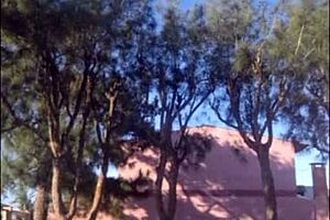 madrasta, showing off that bikini body in the garden for you?