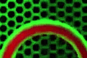 Sara Jay peels off condom to savor warm cum from Nash's bff load