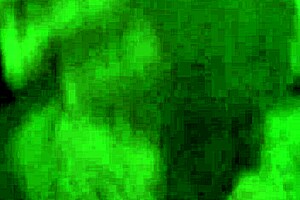 titten big massage chricolino titten monster cock pounding