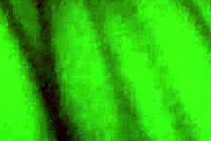 naughty wife spreads wet pussy for licking sucking and deep sticking