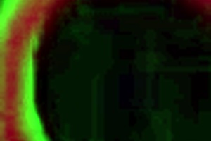 lucky rome major fucks lucky starr bbc doggystyle cowgirl