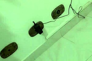 vivi guedez get ready for my horny mature perverted show