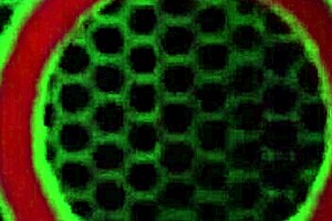 Jenna Foxx Fingers Gaping Pussy And Squeezes Big Tits!