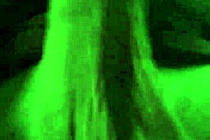 titten big massage chricolino titten monster cock pounding