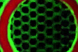 rocky spreads bubble butt wide for rough anal gaping doggy