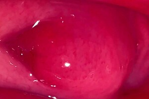 Virgin Japanese Girlfriend Proves It Close-Up: Shaved Wet Pussy Licked for New Year's Worldwide Proof